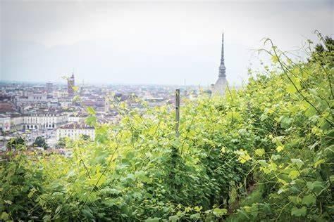 appartamento in affitto a Torino in zona Sassi