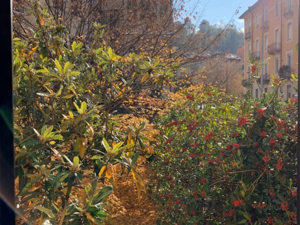 appartamento in affitto a Torino in zona Gran Madre