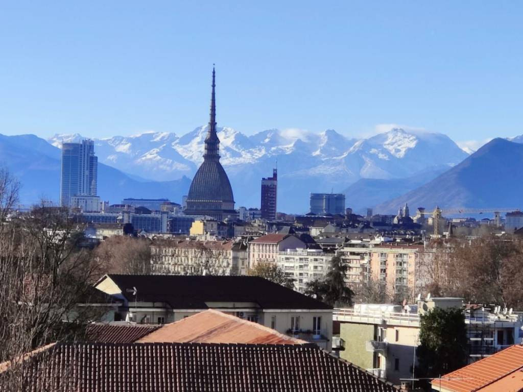 appartamento in affitto a Torino in zona Borgo Po