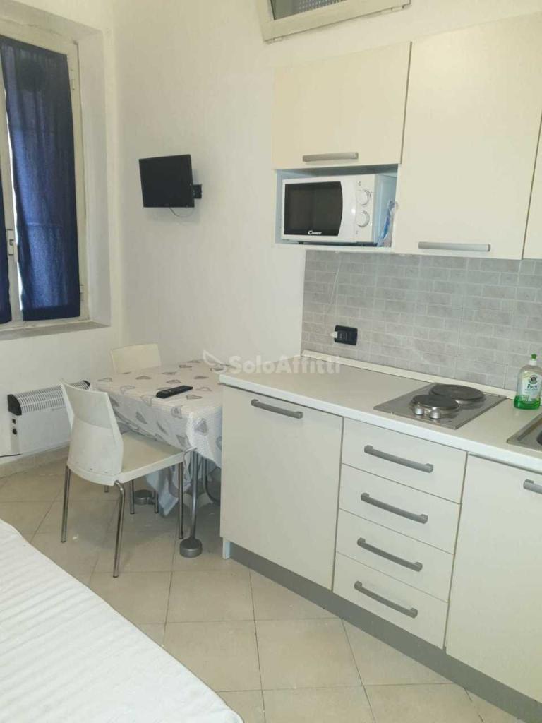 appartamento in affitto a Torino in zona San Donato