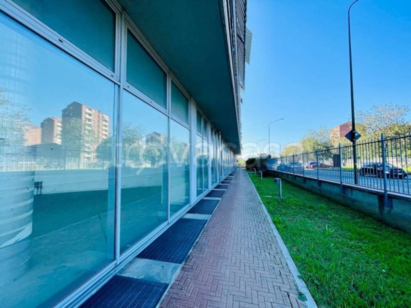 appartamento in affitto a Torino