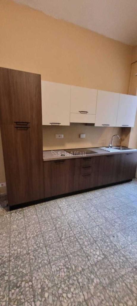 appartamento in affitto a Torino in zona Barriera di Milano