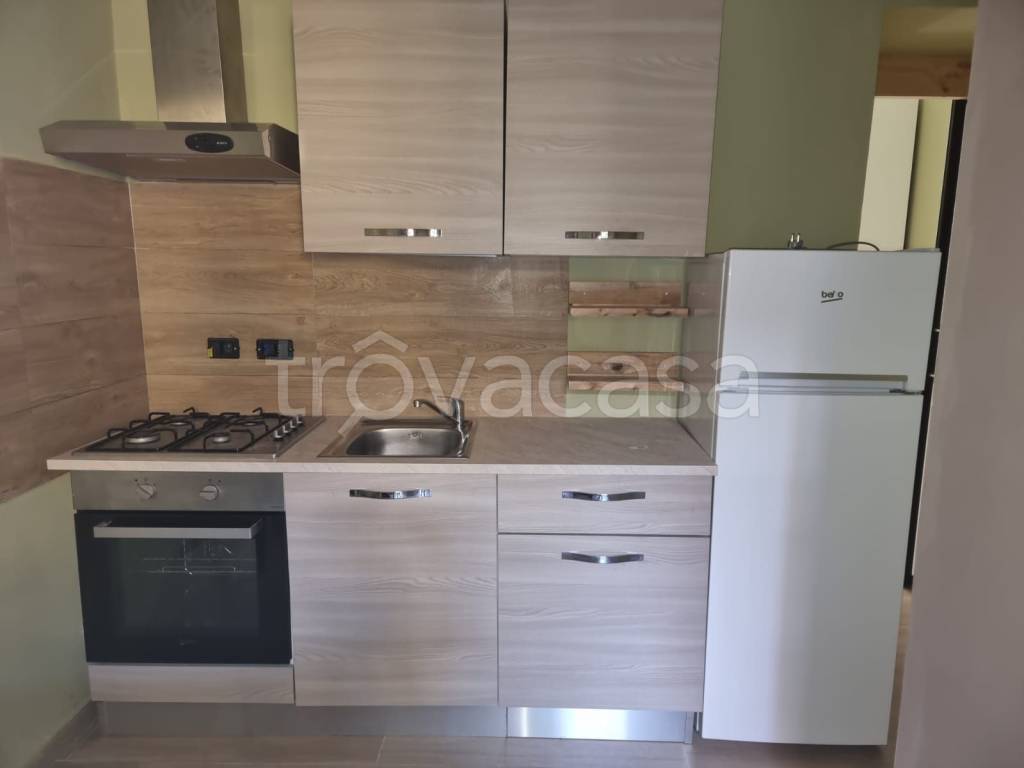 appartamento in affitto a Torino in zona Borgo San Paolo