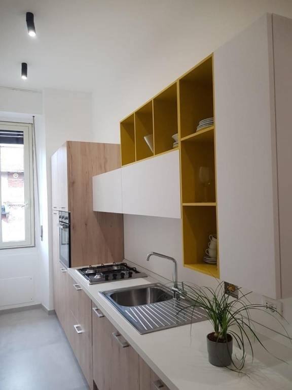 appartamento in affitto a Torino in zona Cenisia