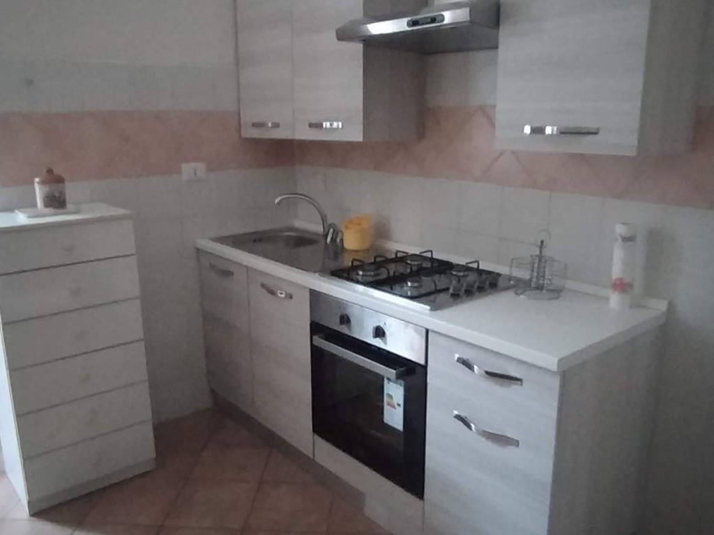 appartamento in affitto a Torino in zona Borgo San Paolo