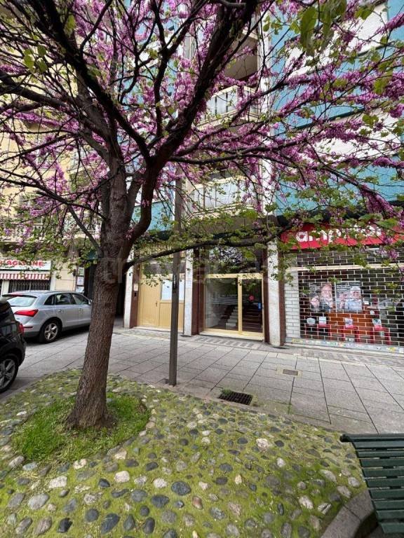 appartamento in affitto a Torino in zona Millefonti