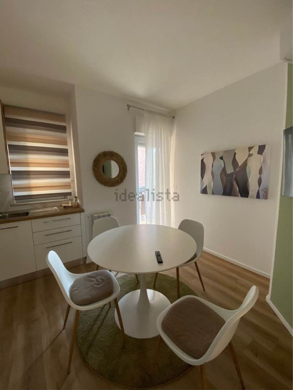 appartamento in affitto a Torino in zona Borgo San Paolo