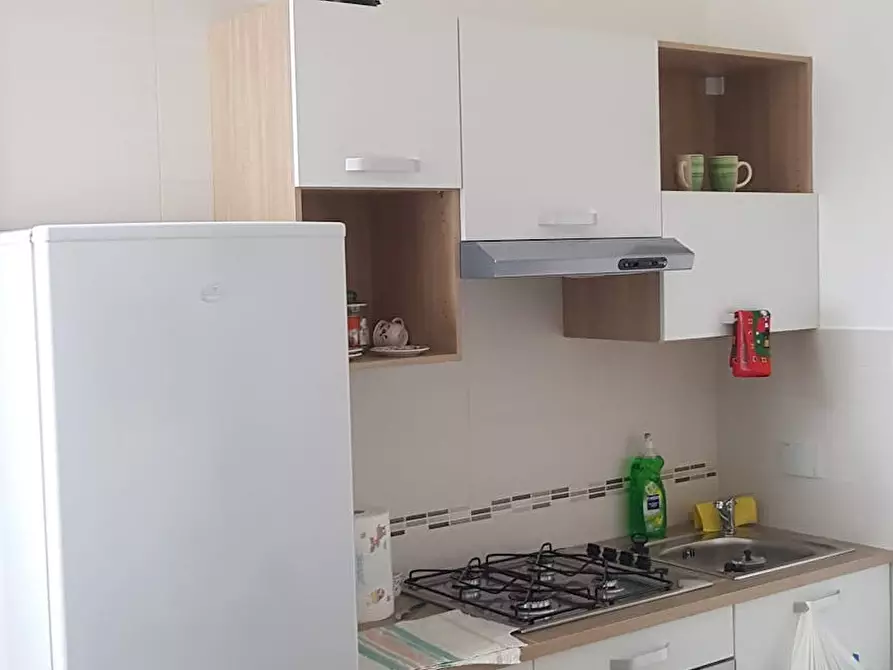 appartamento in affitto a Torino in zona Borgo San Paolo