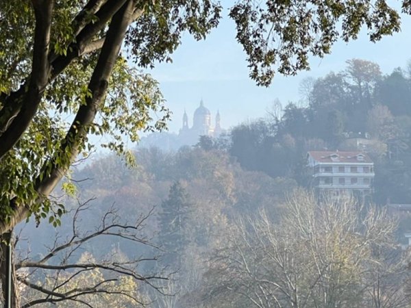 appartamento in affitto a Torino in zona Vanchiglia