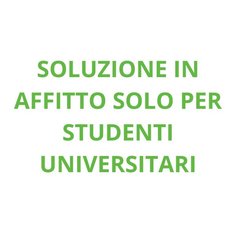 appartamento in affitto a Torino in zona Borgo San Paolo