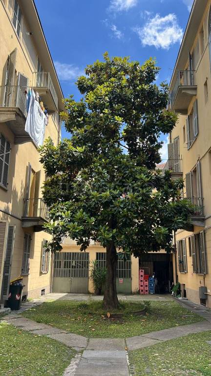 appartamento in affitto a Torino in zona Crocetta