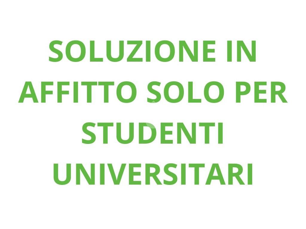 appartamento in affitto a Torino in zona Borgo San Paolo