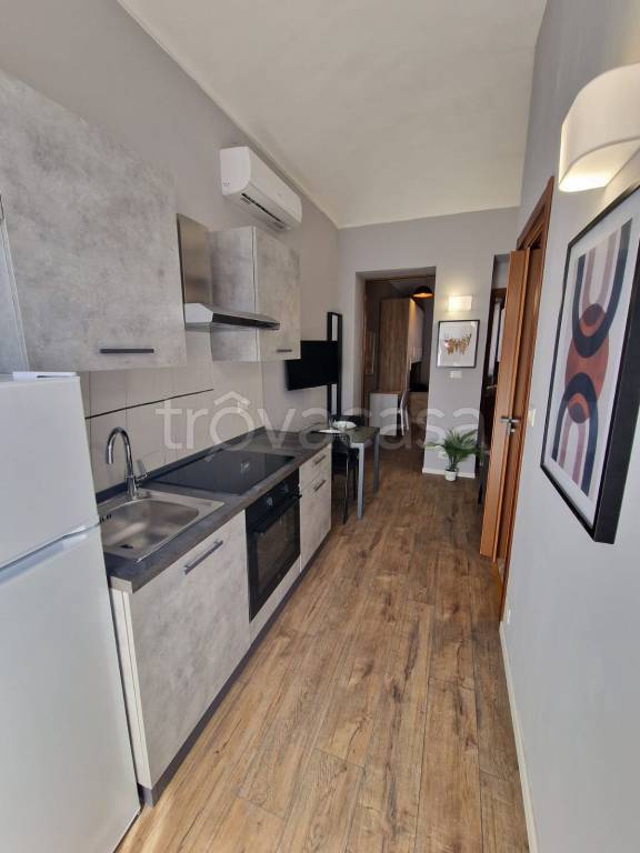 appartamento in affitto a Torino in zona Borgo San Paolo