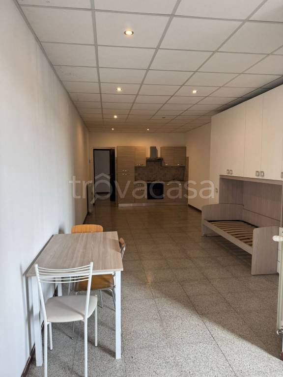 appartamento in affitto a Torino in zona Regio Parco