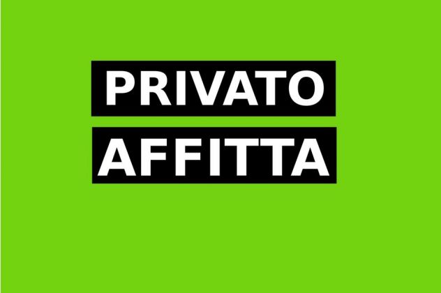 appartamento in affitto a Torino in zona Vanchiglia