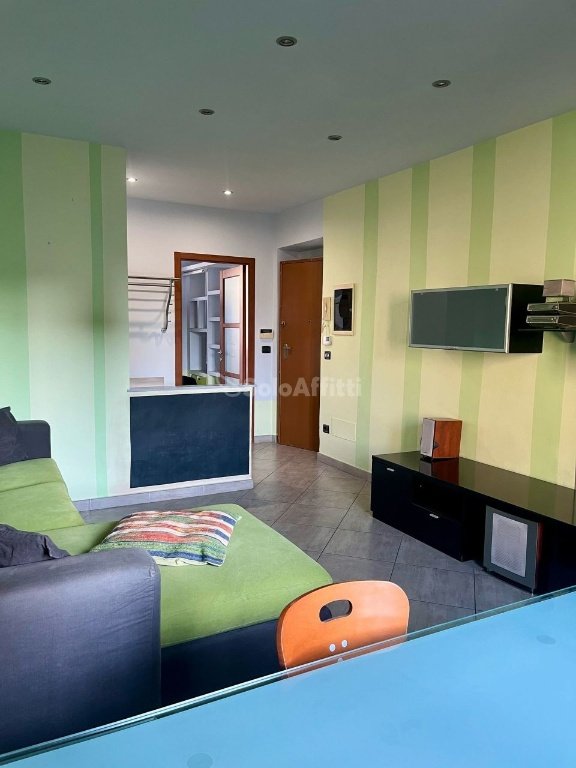 appartamento in affitto a Torino in zona Borgo San Paolo