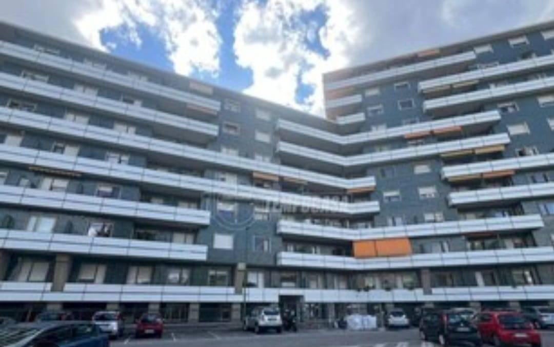 appartamento in affitto a Torino in zona Pozzo Strada