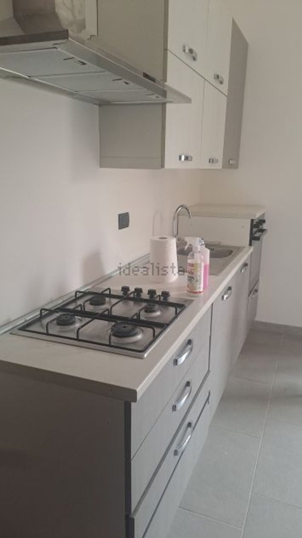 appartamento in affitto a Torino in zona Crocetta