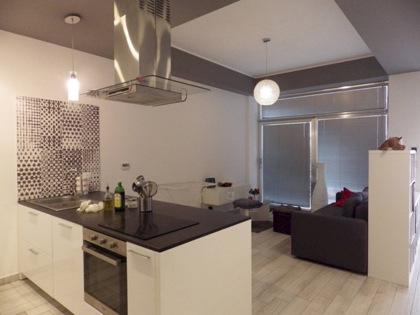 appartamento in affitto a Torino in zona Borgo San Paolo