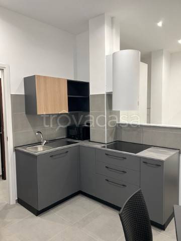 appartamento in affitto a Torino in zona Filadelfia