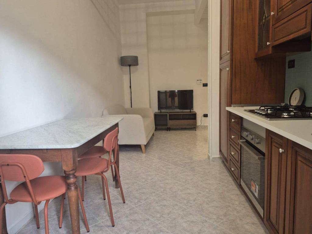 appartamento in affitto a Torino in zona Borgo San Paolo