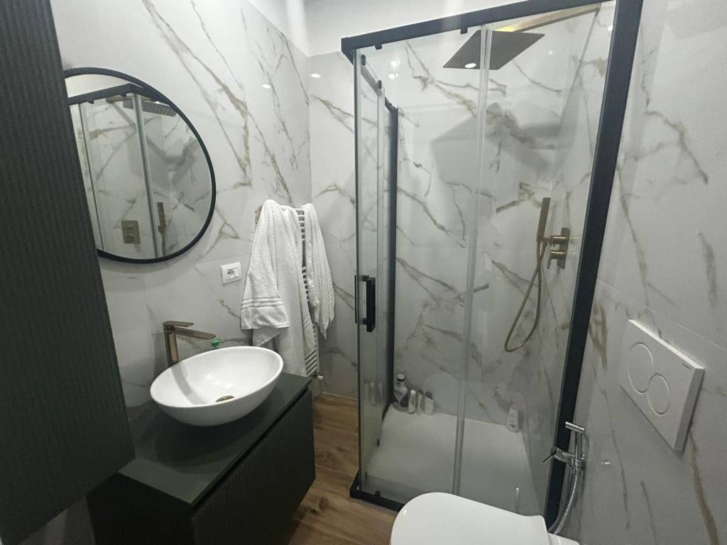 appartamento in affitto a Torino in zona Borgo San Paolo