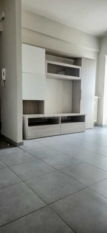 appartamento in affitto a Torino in zona Pozzo Strada