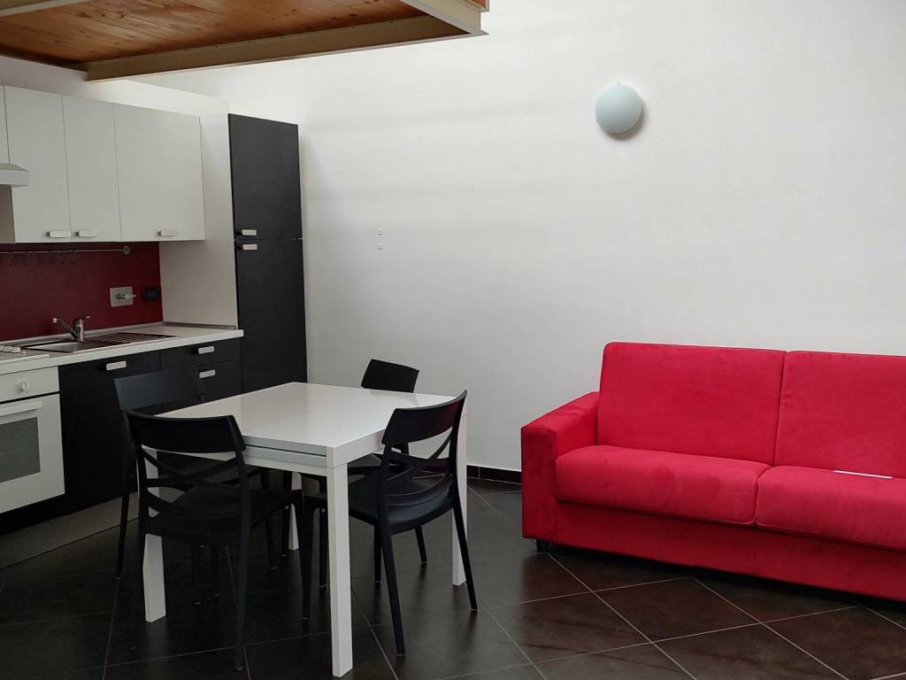 appartamento in affitto a Torino in zona Borgo San Paolo