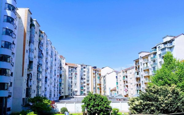 appartamento in affitto a Torino in zona Santa Rita