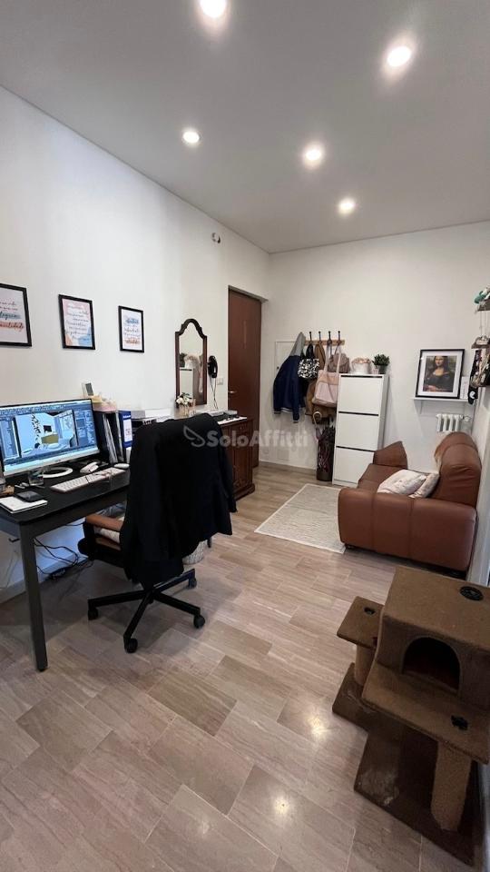 appartamento in affitto a Torino in zona Borgo San Paolo