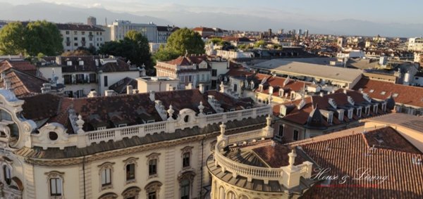 appartamento in affitto a Torino