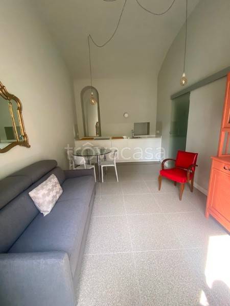 appartamento in affitto a Torino in zona Gran Madre