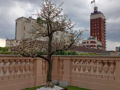 appartamento in affitto a Torino in zona Centro Storico