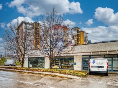 negozio in affitto a Torino