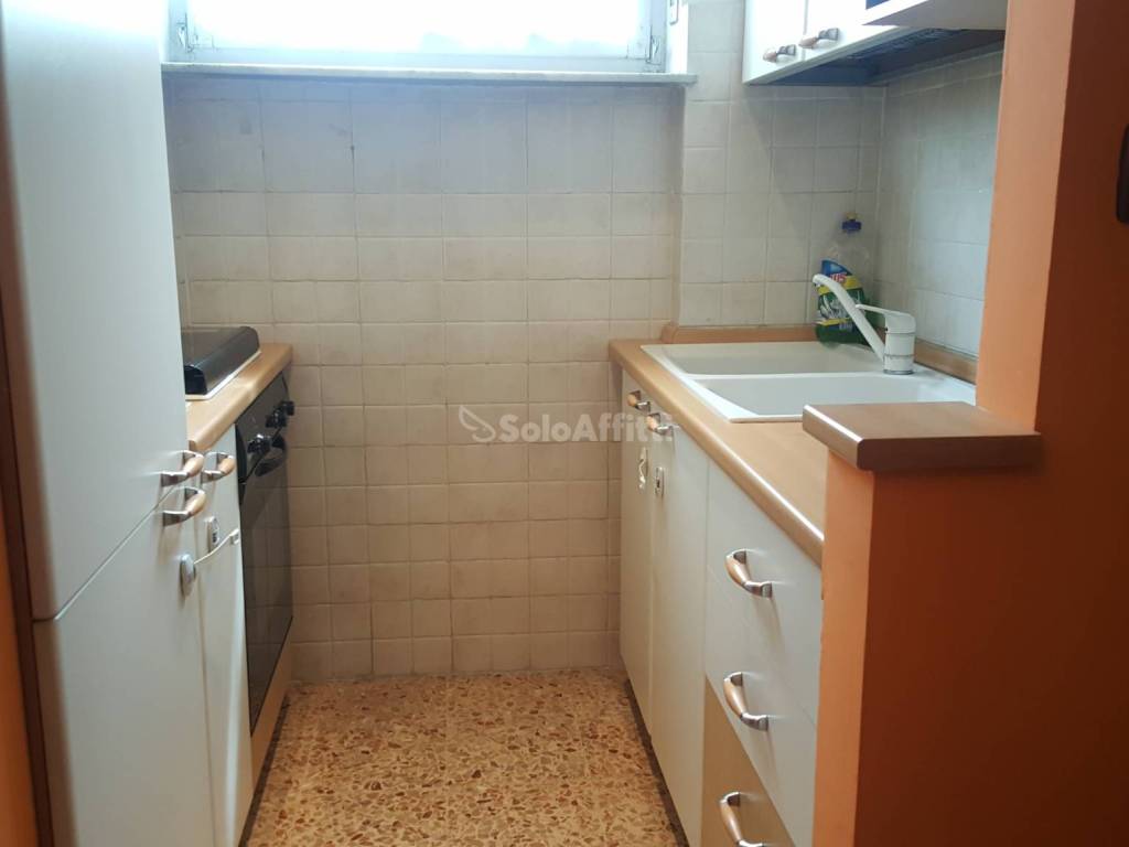 appartamento in affitto a Torino in zona Parella