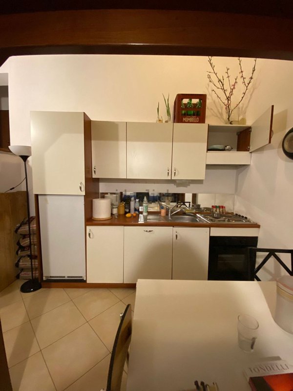 appartamento in affitto a Torino in zona Regio Parco
