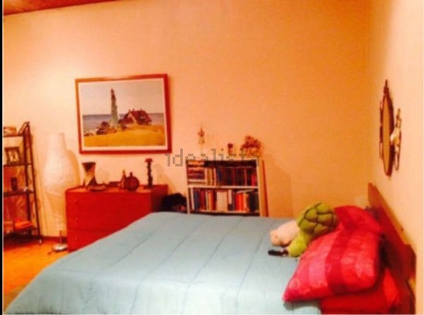 appartamento in affitto a Torino in zona Barriera di Milano