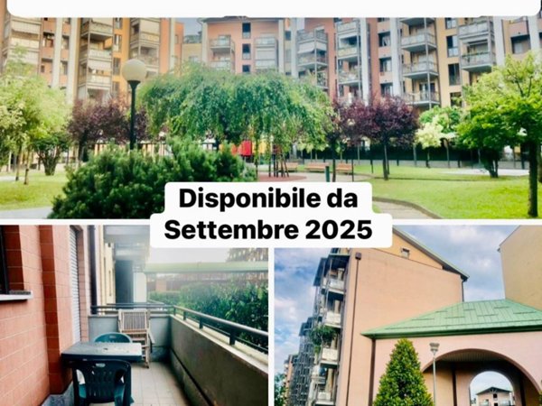 appartamento in affitto a Torino in zona Borgata Vittoria
