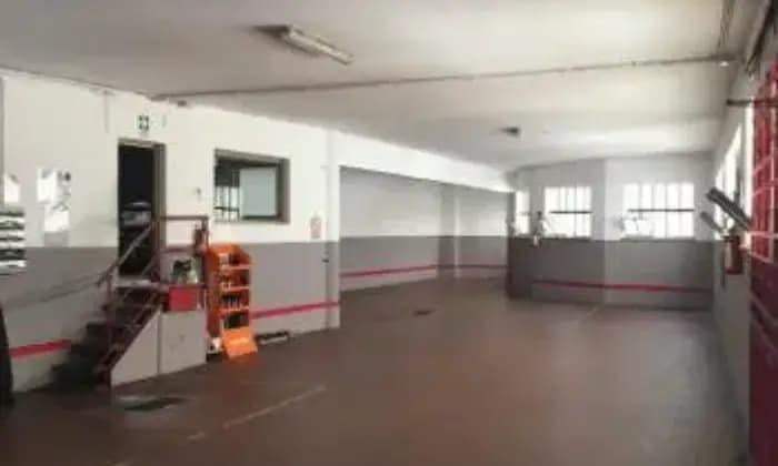negozio in affitto a Torino in zona Crocetta