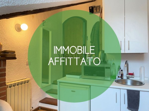 monolocale in affitto a Torino in zona Vanchiglia