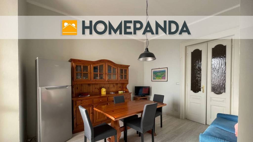 appartamento in affitto a Torino in zona Borgo San Paolo