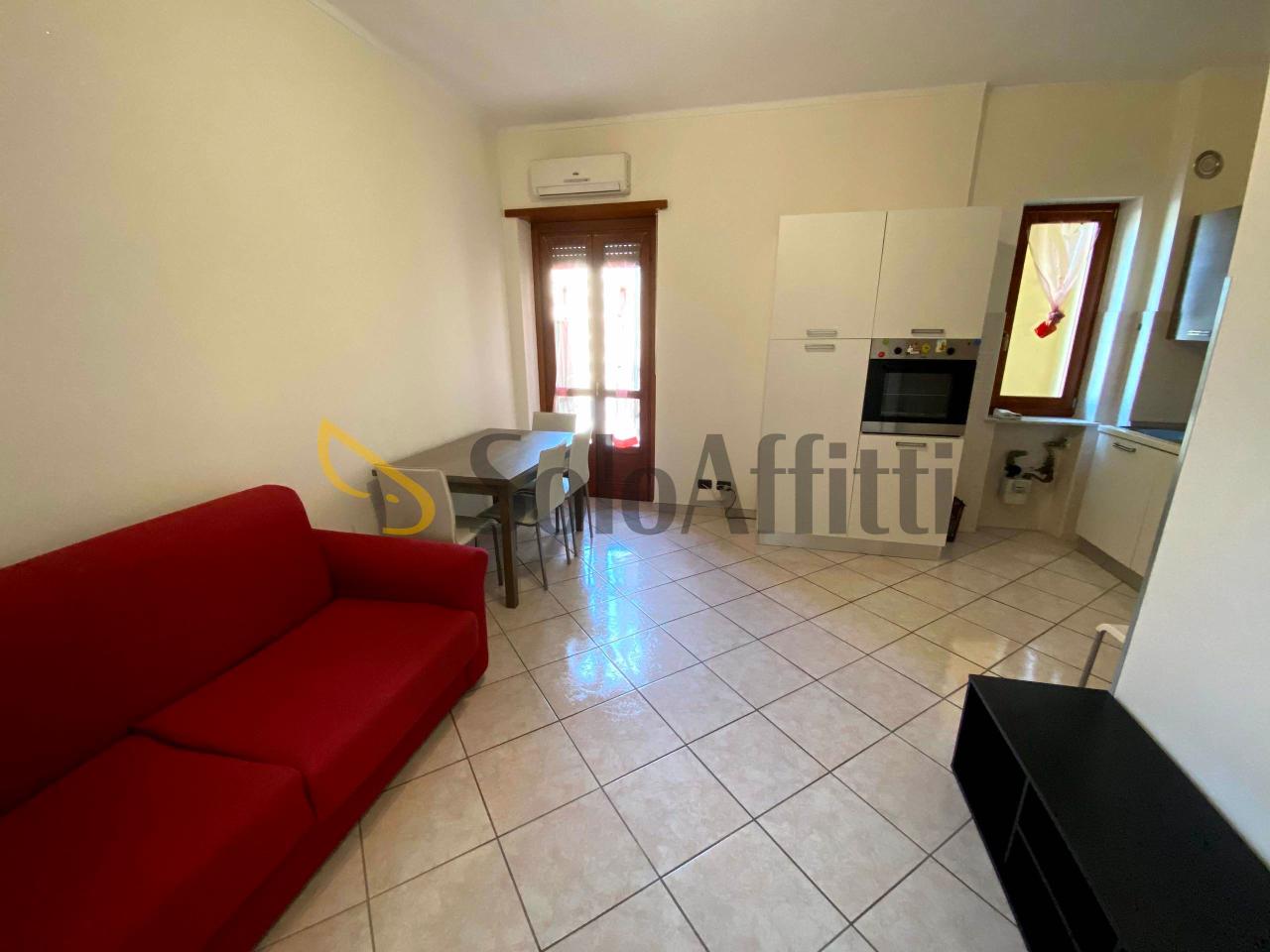 appartamento in affitto a Torino in zona Borgo San Paolo