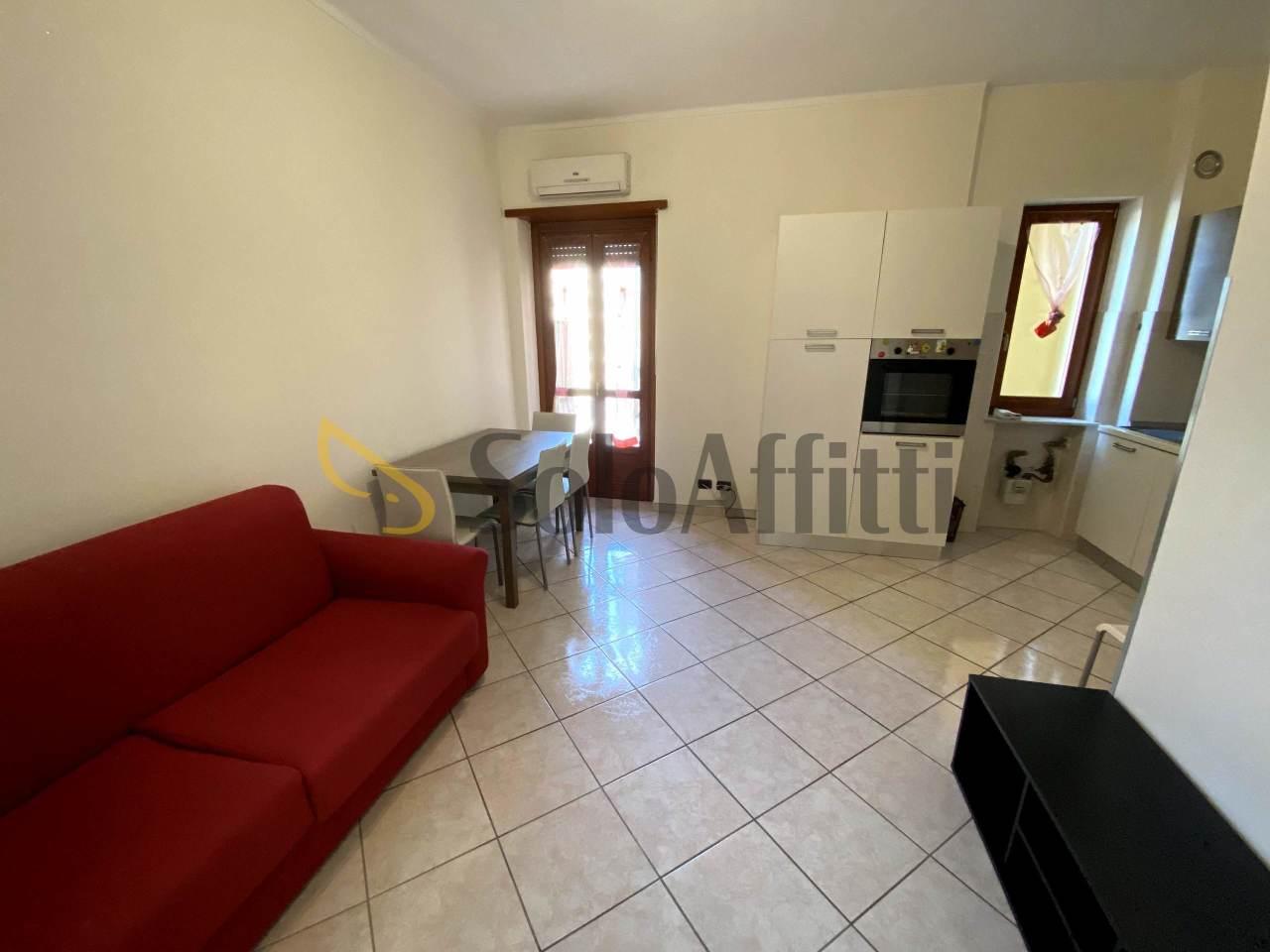 appartamento in affitto a Torino in zona Borgo San Paolo