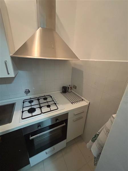 appartamento in affitto a Torino in zona Borgo Po