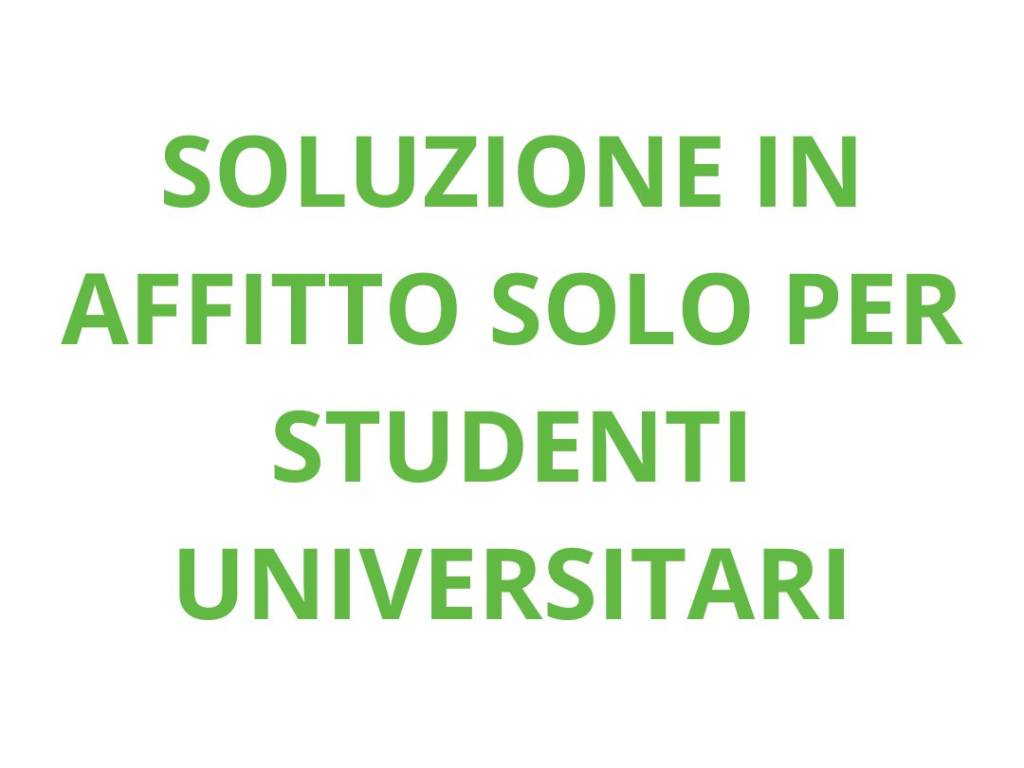 appartamento in affitto a Torino in zona Borgo San Paolo