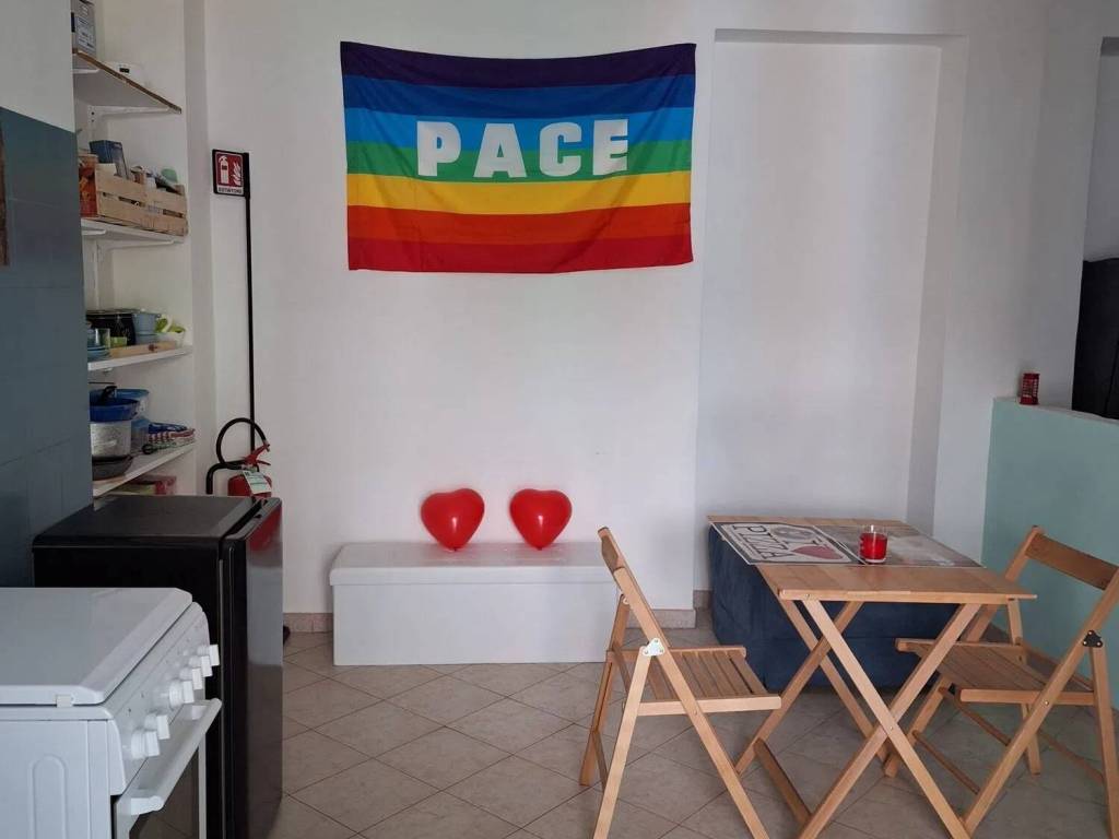 appartamento in affitto a Torino in zona Borgo San Paolo