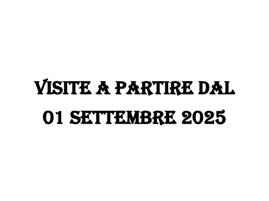 appartamento in affitto a Torino in zona Vanchiglia