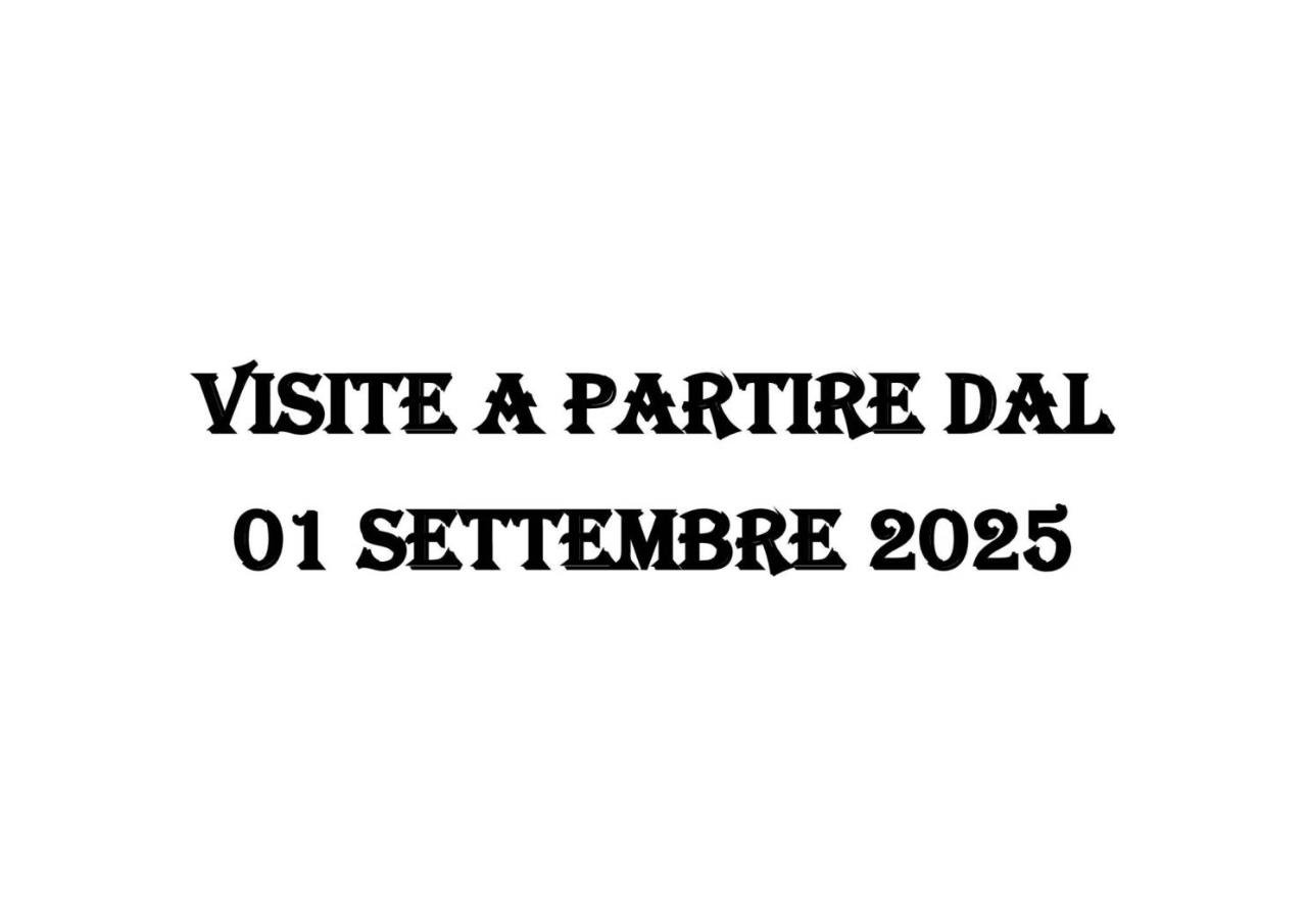 appartamento in affitto a Torino in zona Vanchiglia