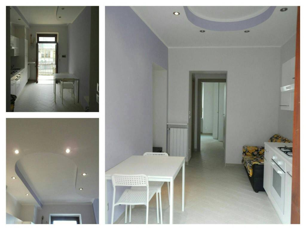 appartamento in affitto a Torino in zona Borgo San Paolo