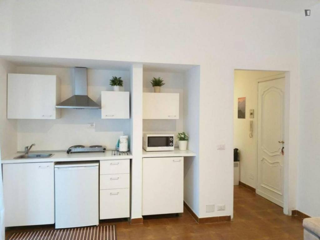 appartamento in affitto a Torino in zona Crocetta